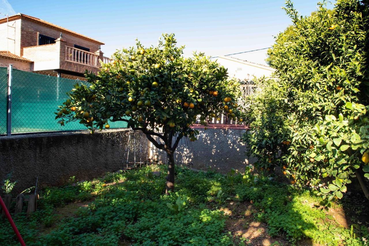 Florit Flats - The Orange Lemon Tree House Villa La Eliana Exterior photo